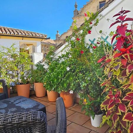 Apartamentos Los Descalzos Angel With Private Terrace Free Parking Ronda Exteriör bild