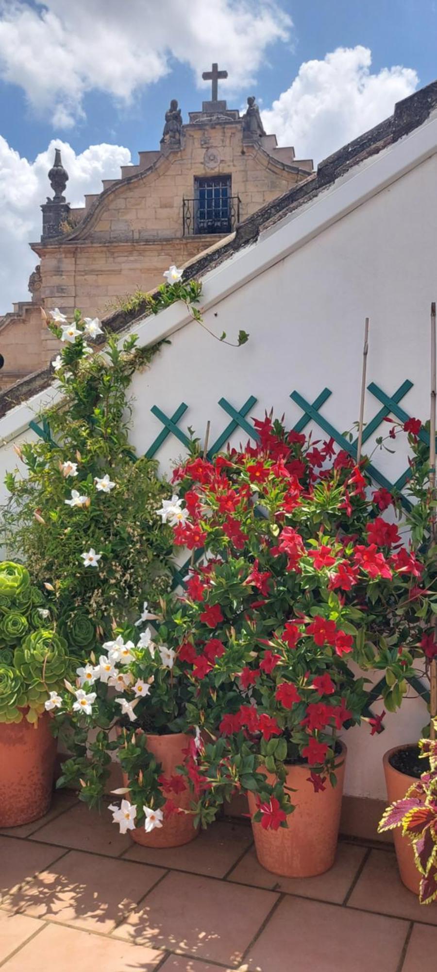 Apartamentos Los Descalzos Angel With Private Terrace Free Parking Ronda Exteriör bild
