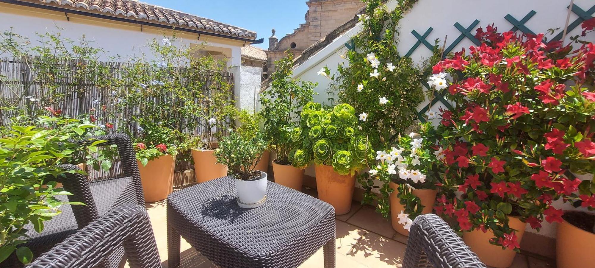 Apartamentos Los Descalzos Angel With Private Terrace Free Parking Ronda Exteriör bild
