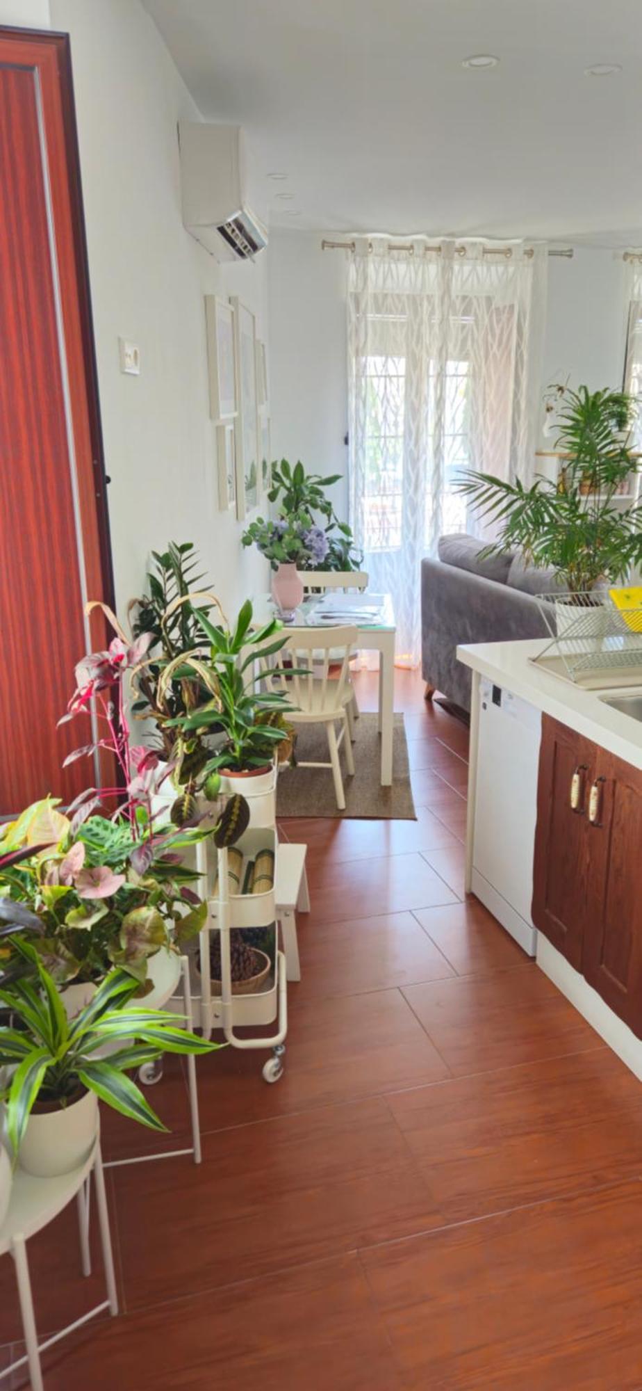 Apartamentos Los Descalzos Angel With Private Terrace Free Parking Ronda Exteriör bild