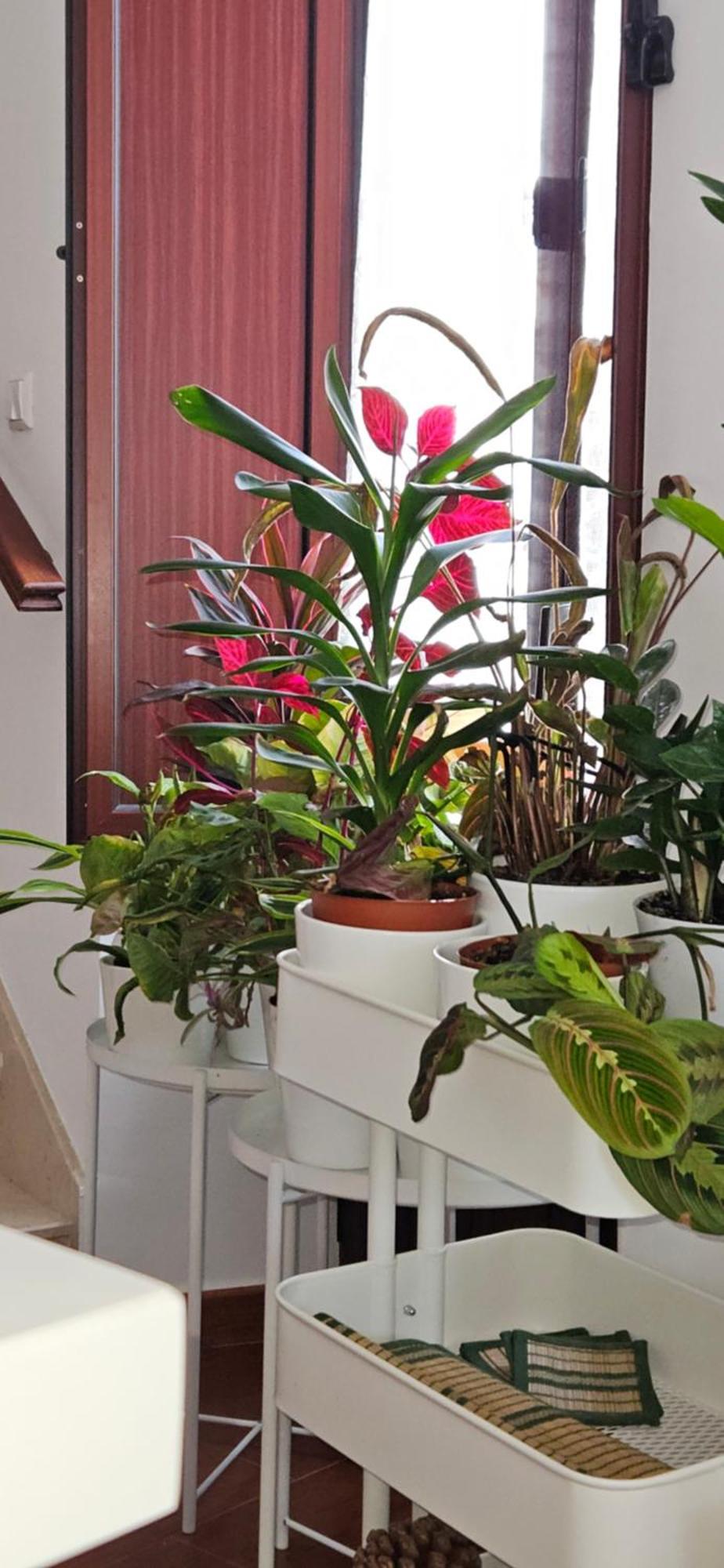 Apartamentos Los Descalzos Angel With Private Terrace Free Parking Ronda Exteriör bild