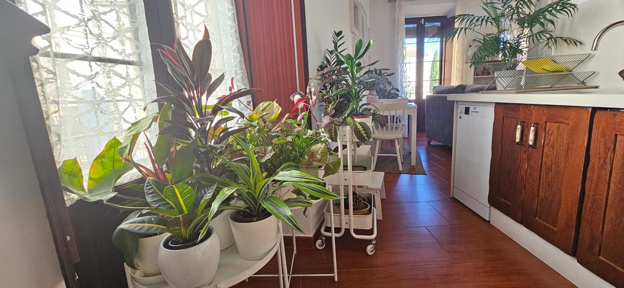Apartamentos Los Descalzos Angel With Private Terrace Free Parking Ronda Exteriör bild