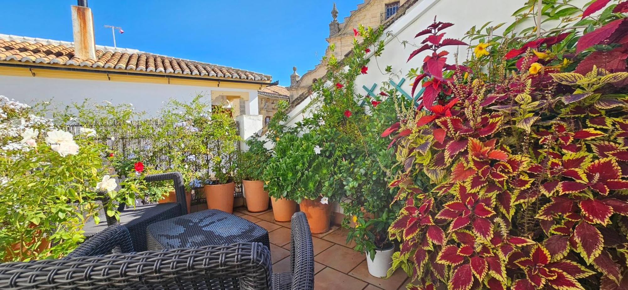 Apartamentos Los Descalzos Angel With Private Terrace Free Parking Ronda Exteriör bild